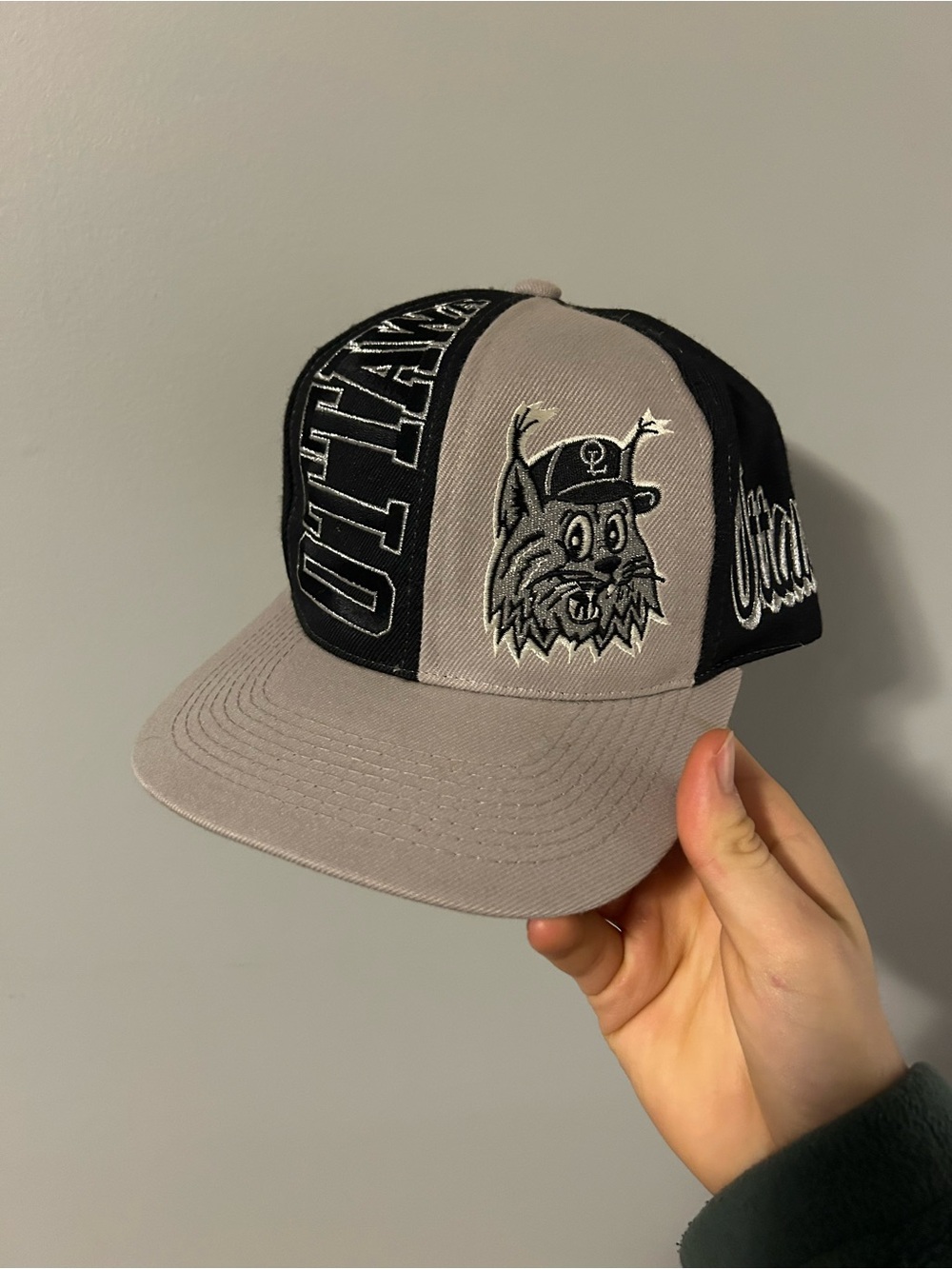 Vintage Ottawa Lynx 90’s Minor League Baseball RARE Snapback Hat